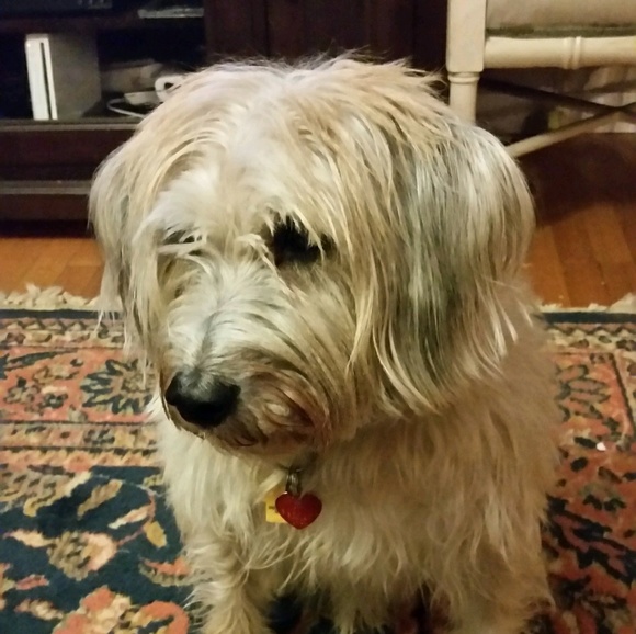 Meet the Posher Other - Meet your Posher, Umberto